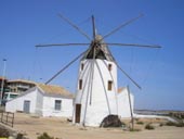 The Windmill